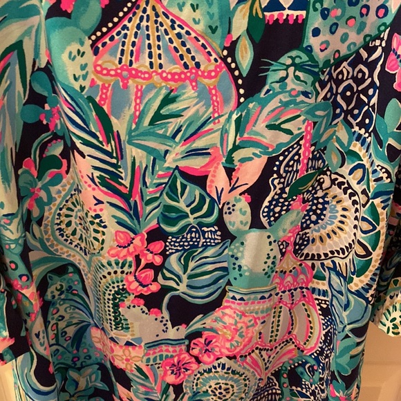 Lilly cactus dress.lookin sharp Sophie 50+ ruffle dress - Picture 5 of 5